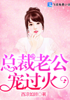 總裁老公寵過火