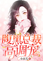 腹黑總裁高調寵