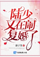 陸少又在鬧複婚了