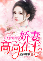 天價婚約：嬌妻高高在上