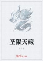 聖隕天藏