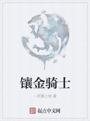 鑲金騎士