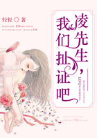 淩先生，我們扯證吧