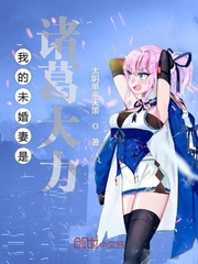 我的未婚妻是諸葛大力