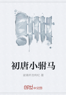 初唐小駙馬