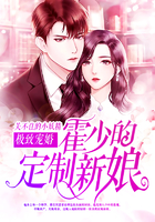 極致寵婚：霍少的定製新娘