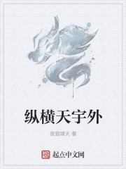 縱橫天宇外