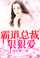 霸道總裁狠狠愛 霸道總裁狠狠愛