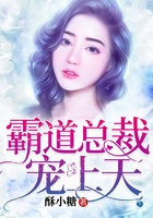 霸道總裁寵上天