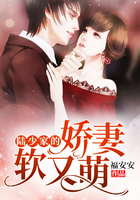 陸少家的嬌妻軟又萌 陸少家的嬌妻軟又萌