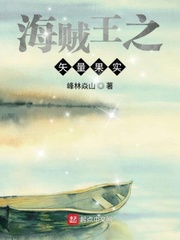 海賊王之矢量果實 海賊王之矢量果實