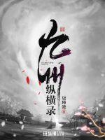 九州縱橫錄