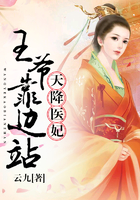 天降醫妃,王爺靠邊站 天降醫妃,王爺靠邊站