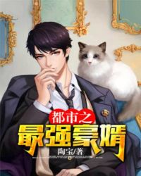 都市之最強豪婿