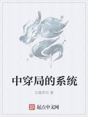 中穿局的係統