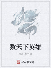 數天下英雄