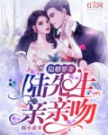 隱婚罪妻：陸先生，輕輕吻