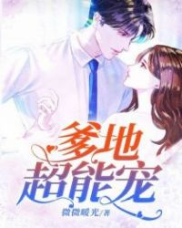 爹地超能寵