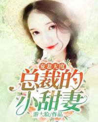 寵妻無度：總裁的小甜妻
