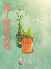 花於暗夜綻放