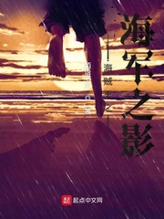 海賊王之海軍之影