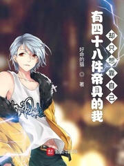 有四十八件帝具的我卻隻想靠自己