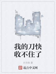 我的刀快收不住了封面