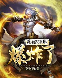 係統砰地爆炸了