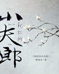 權臣的小夫郎