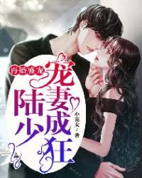 再婚盛寵：陸少寵妻成狂