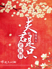 夫君是隻老狐狸 夫君是隻老狐狸