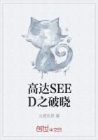 高達SEED之破曉
