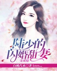 一寵成癮：陸少的閃婚甜妻