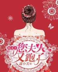 韓先生，您夫人又跑了