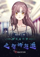 精靈寶可夢之智娜邂逅