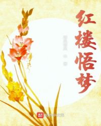 紅樓悟夢 紅樓悟夢
