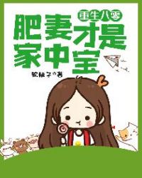 重生八零：肥妻才是家中寶
