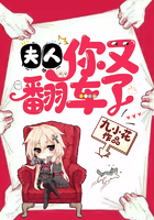 夫人,你又翻車了 夫人,你又翻車了