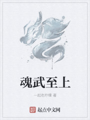 魂武至上