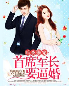 暗夜強寵：首席軍長要逼婚