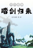 陳情令之踏劍歸來