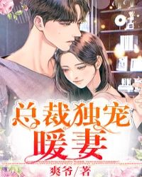 總裁獨寵暖妻