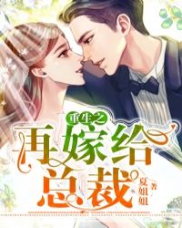 重生之再嫁給總裁