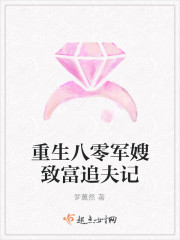重生八零軍嫂致富追夫記