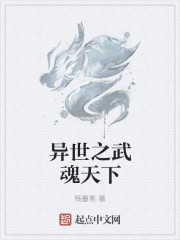 異世之武魂天下