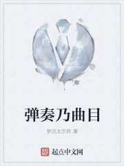 彈奏乃曲目