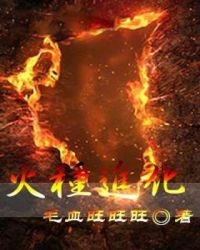 火種進化
