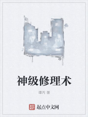 神級修理術