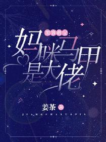 黑客萌寶:媽咪馬甲是大佬 黑客萌寶:媽咪馬甲是大佬