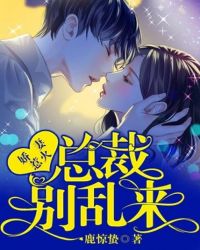 嬌妻惹火：總裁，別亂來！